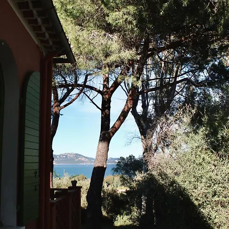 Les Grillons * Hyères